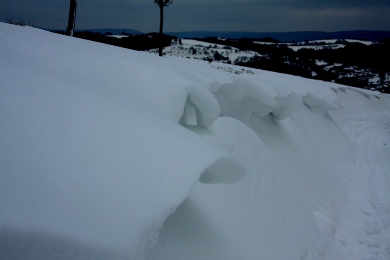 Winter 17.12.2010 015.JPG